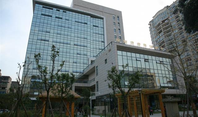 �����˶�����