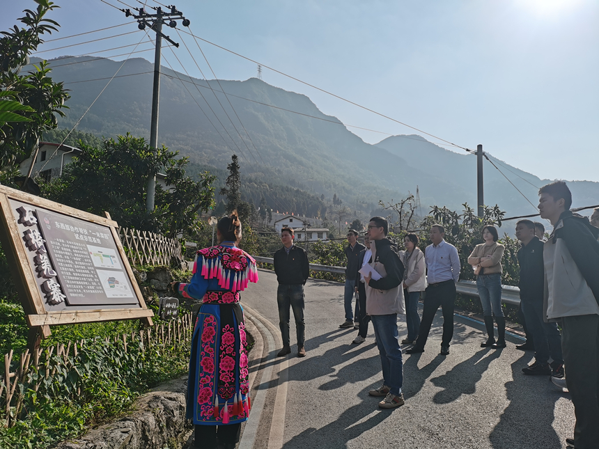 ʯ�δ��ֳ�ѧϰ